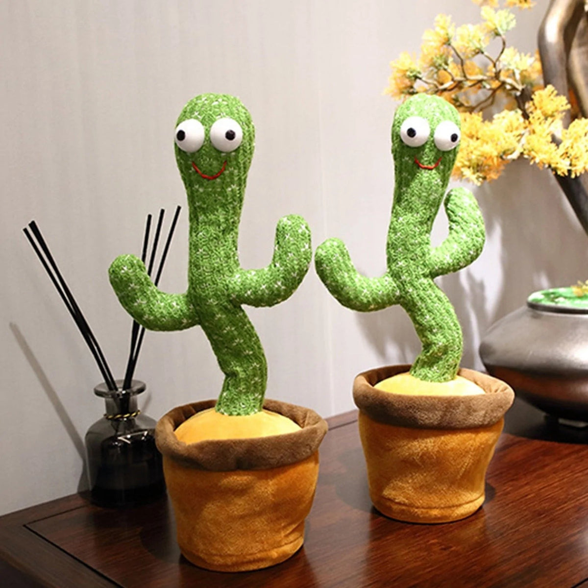 Cavi - El Cactus Bailarín que Responde Absolutamente Todo