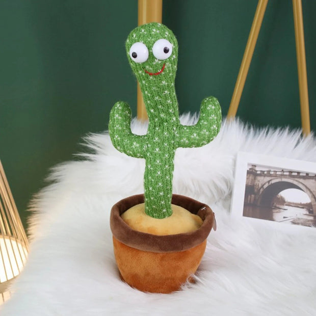 Cavi - El Cactus Bailarín que Responde Absolutamente Todo